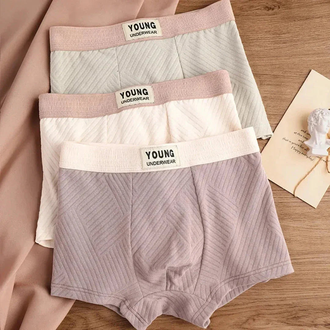 3 Pack Antibacterial Cotton Mens Boxers Soft Stretch Fit Moisture Wicking Breathable Underwear Street-Wave