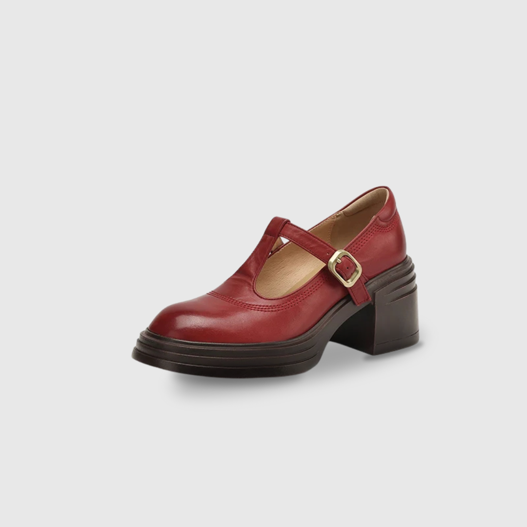Women's Chunky Block Heel Mary Jane Pumps with Round Toe and Strap
