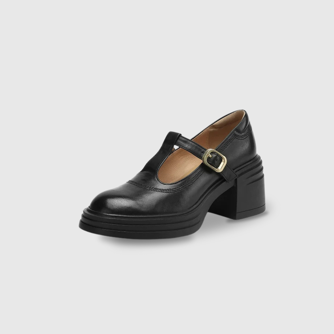 Women's Chunky Block Heel Mary Jane Pumps with Round Toe and Strap