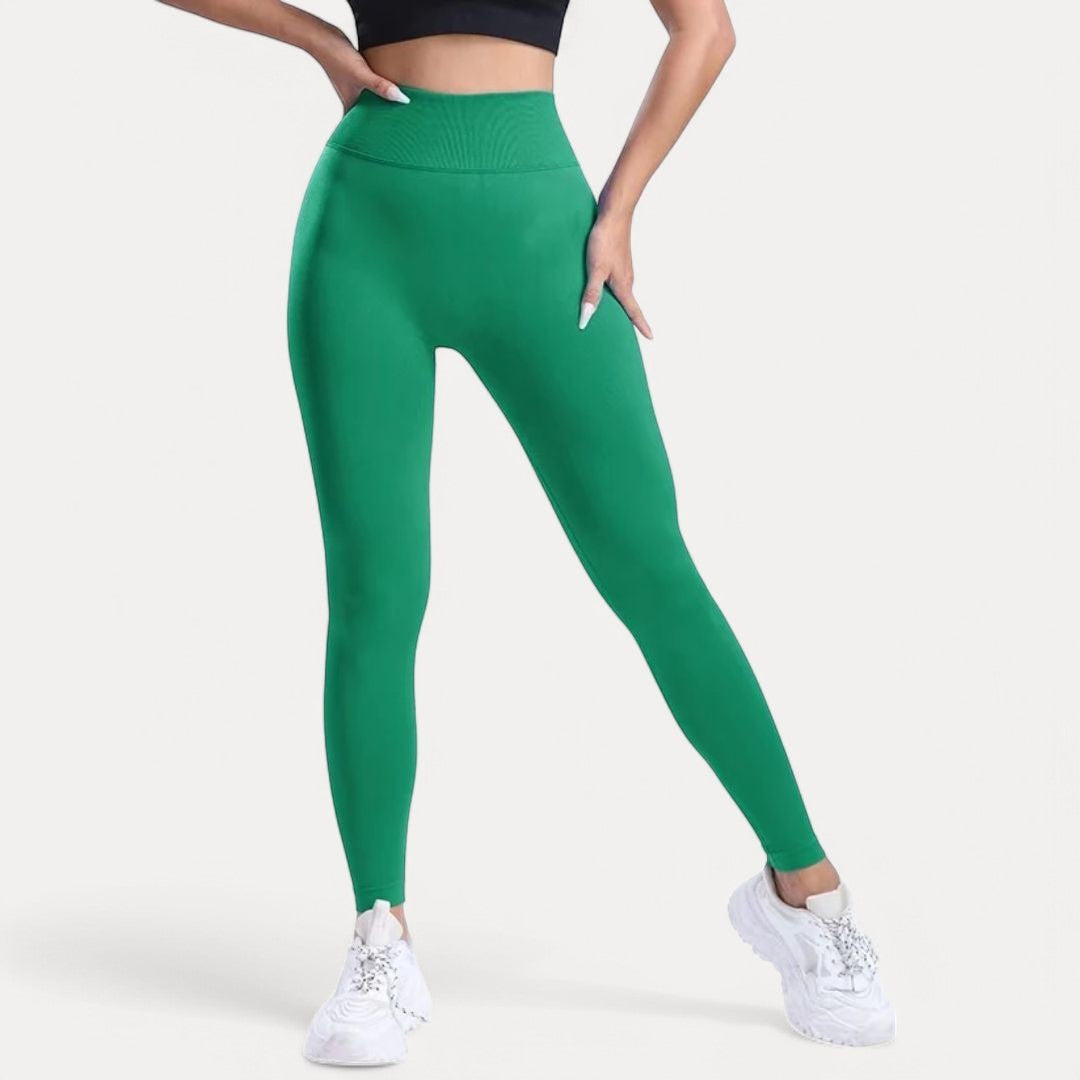 Blaire Sculpt Seamless Leggings