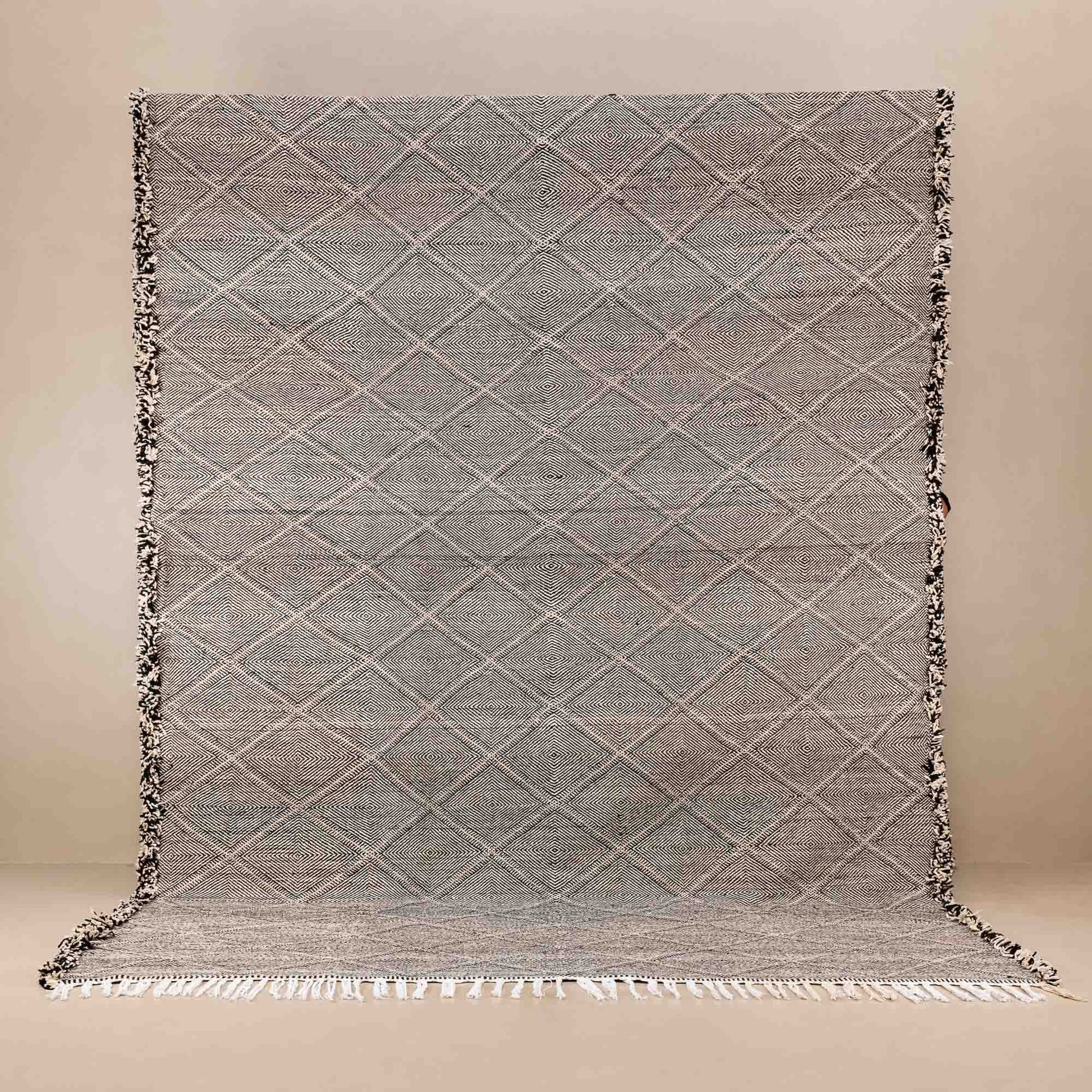 Jawida - taznakht kilim rug - Street-Wave