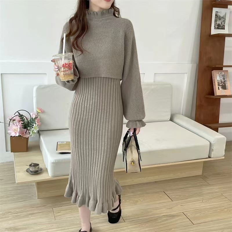 Street Wave Women's Knit Dress With High Neck And Ribbed Texture Cozy Elegant Silhouette