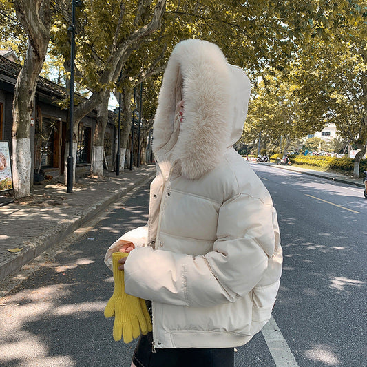  - Street-wave