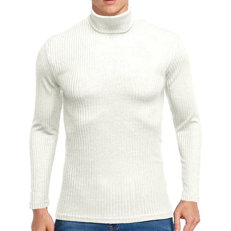 Street-wave Mens Fine Turtleneck Sweater in Premium Structured Knit Slim Fit for Cool Weather