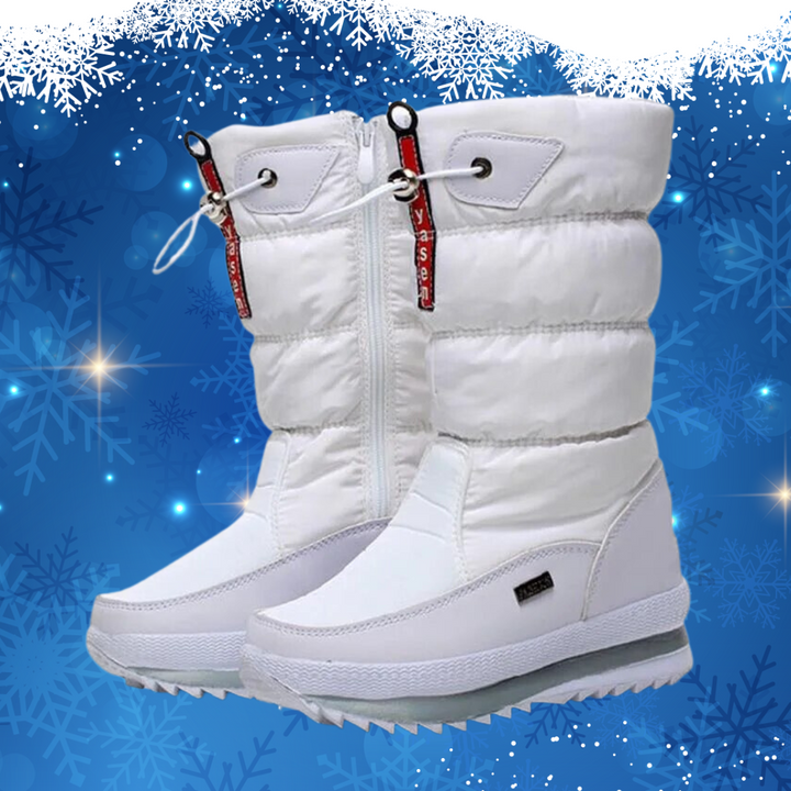 Street-wave Women's Warm Winter Boots Plush Lining Cozy Comfort For Frosty Days Everyday Wear