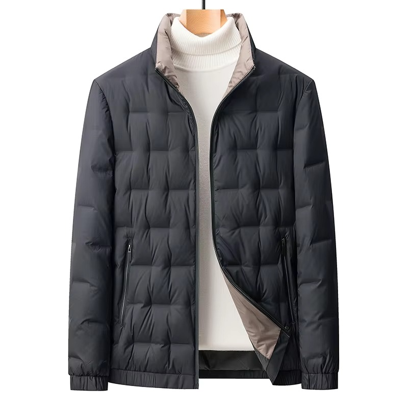 Men's 2024 Solid Color Stand Collar Slim Fit Goose Down Jacket for Warmth and Modern Business Style