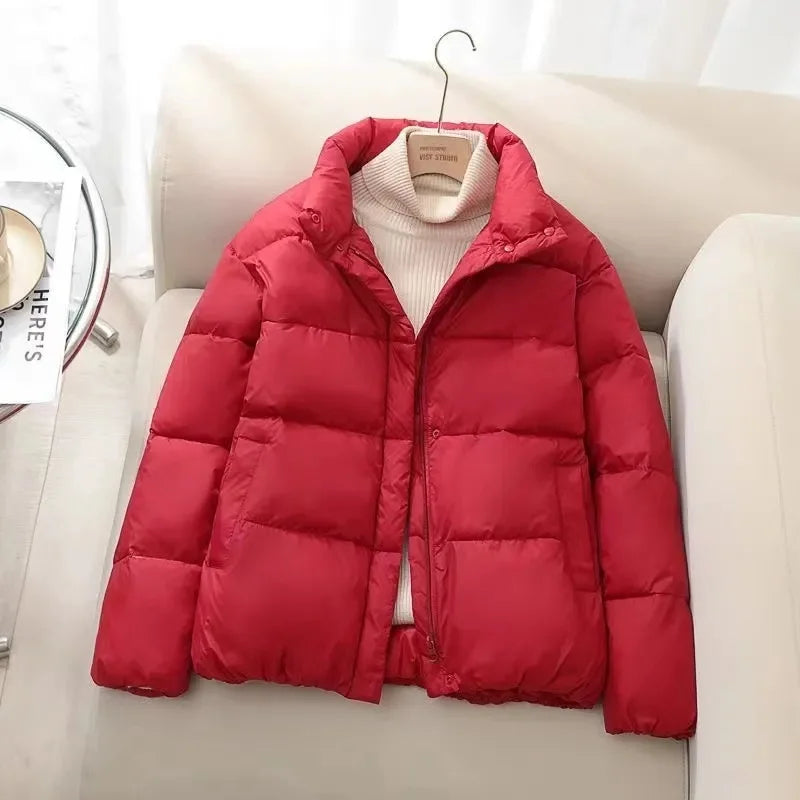 Street-wave Puffer Jacket Insulated Quilted Warmth High Collar Zipper For Women Everyday