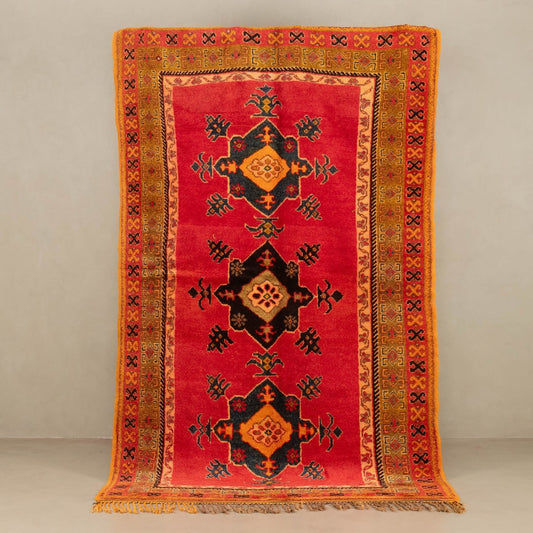 Bradia - taznakht kilim rug - Street-Wave