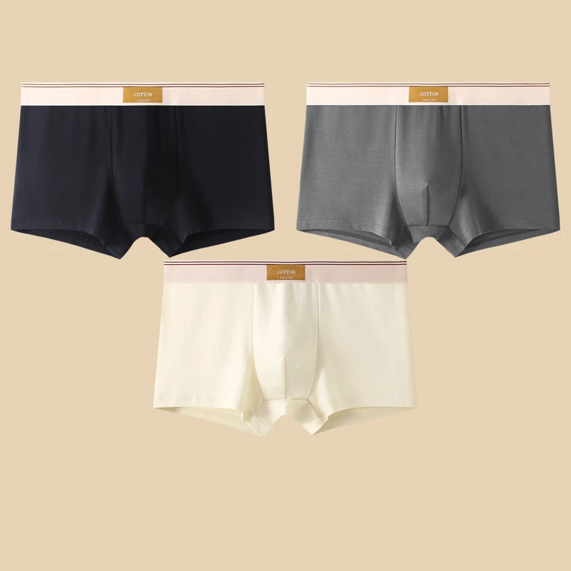 Cotton Fitted Boxer Briefs Two Piece Set for Men with Branded Waistband Solid Shorts Nordic Quality