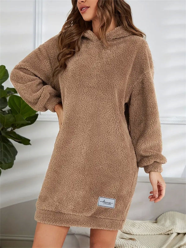 Street Wave Plush Teddy Hoodie Dress For Women Ultra Cozy PlusSize Fleece Mini Lounge Wear