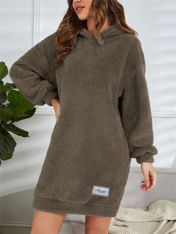 Street Wave Plush Teddy Hoodie Dress For Women Ultra Cozy PlusSize Fleece Mini Lounge Wear
